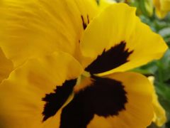 -古宇湖风景名胜区