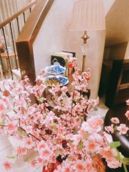 -海茱雅科技健康美容