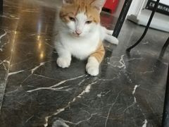 -汇佳桌游剧本咖啡馆(万体馆旗舰店)