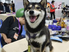-南宁国际会展中心
