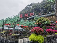 -枇杷园食为鲜火锅(南山店)