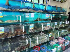 水产区-琼大师东方烤乳猪(亚特兰蒂斯店)