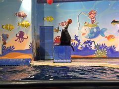 -太平洋海底世界博览馆·展览厅