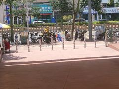 -深圳野生动物园
