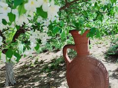 -元大都城垣遗址公园