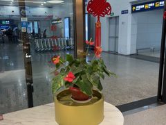 -康师傅私房牛肉面(申虹店)