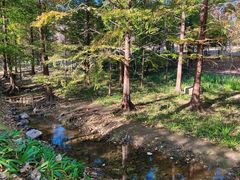 -白水寺森林公园