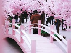 -金茂览秀城