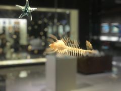 -青岛贝壳博物馆