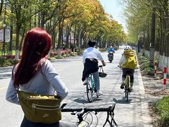 -上海长兴岛郊野公园