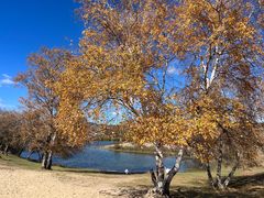 -塞罕坝国家级自然保护区