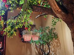 -吃饭皇帝大(合生汇店)