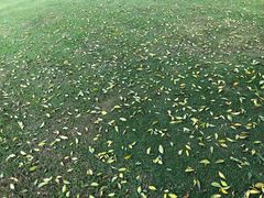 -平安（深圳）金融教育培训中心