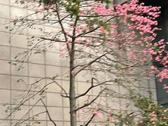 -超鹿运动(达信大厦店)