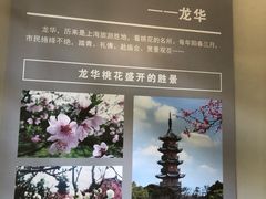 -上海市龙华烈士陵园