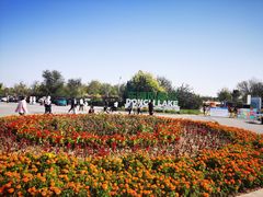 -天津东丽湖风景区