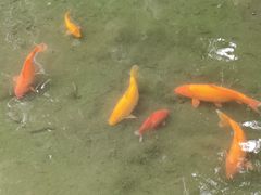 -柳侯公园