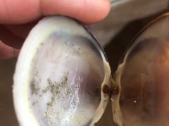 -北戴河转鱼·炒螃蟹酱餐厅