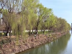 -西安汉城湖景区