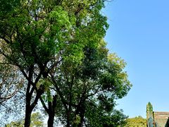 -凤凰山公园-龙王古庙