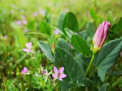 -青岛第三海水浴场