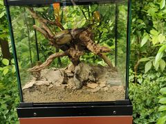 -南宫五洲植物乐园