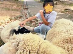 -神户市立六甲山牧场