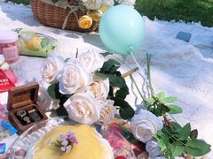 -长白岛森林公园