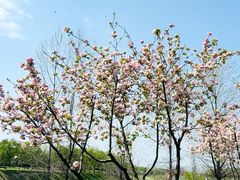-洨河生态公园