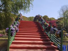 -上海鲜花港