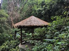 -梅峰山地公园