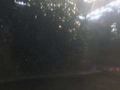 -郑州银基黄帝宫御温泉