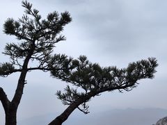 -尧山风景区