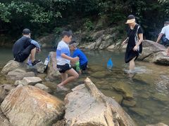 -广州白江湖森林公园