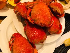 -星璞餐厅(深铁塘朗城君璞酒店)