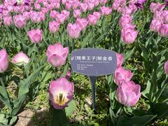 -国家植物园