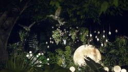 -天邑国际酒店·宴会厅