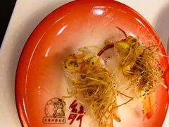 -禾绿回转寿司(苏宁广场店)