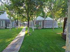 -九十九顶毡房(阜石路店)