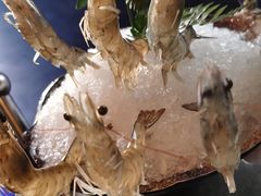 -王家渡火锅店(棕榈泉店)