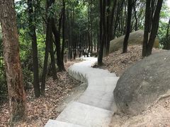 -火炉山森林公园