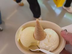 -极拉图·现制冰淇淋(大卫城店)