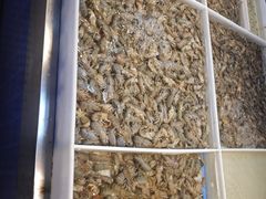 -桃源市场(解放路店)