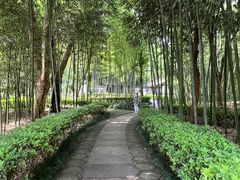 -兰亭风景区