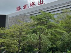 -深圳坪山站