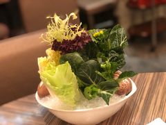 -四季火锅酒家(新濠影汇店)