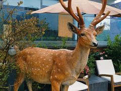 -大隐花事(熊婆婆的花园店)