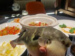 -肆月河豚·淮扬菜·湘菜(华天店)