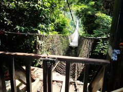 DSC02880-三亚亚龙湾人间天堂鸟巢度假村