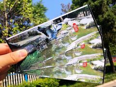 -燕塞湖鸟语林景区